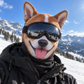 SnowPaw 3D Animal Ski Balaclava
